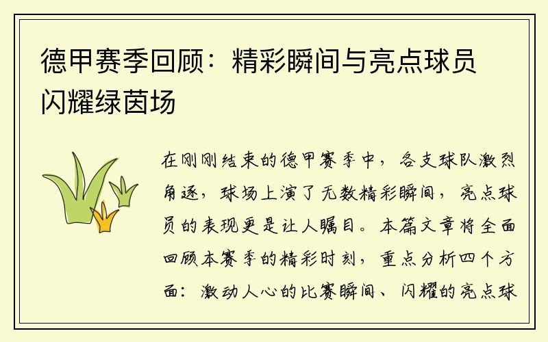 德甲赛季回顾：精彩瞬间与亮点球员闪耀绿茵场