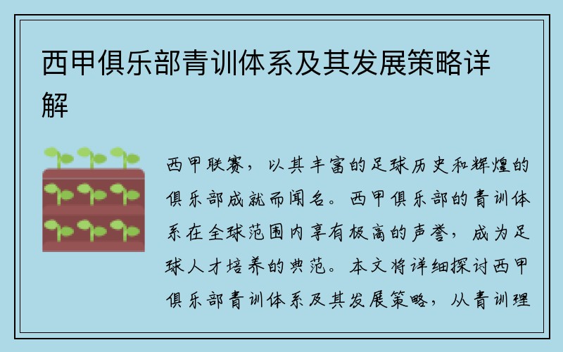 西甲俱乐部青训体系及其发展策略详解