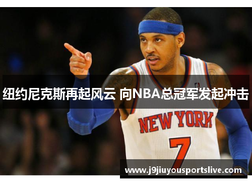 纽约尼克斯再起风云 向NBA总冠军发起冲击