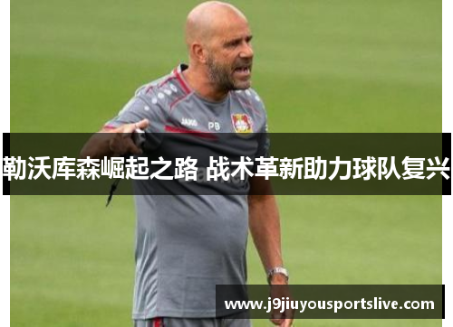 勒沃库森崛起之路 战术革新助力球队复兴
